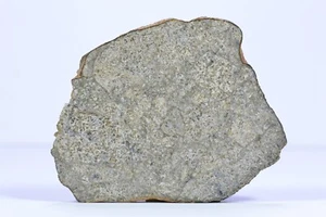 Meteorite NWA 5229 - Eucrite - found 2007 in NW Africa - full slice - 18.3 g - Picture 1 of 10