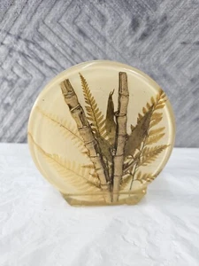 Soporte de servilleta de bambú vintage helecho Lucite MCM - Imagen 1 de 9