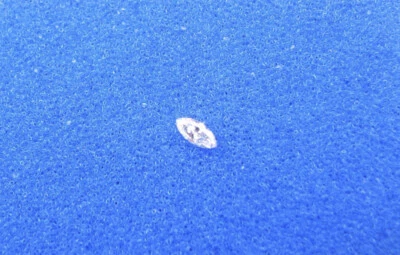 Natural Loose  Marquise Diamond  0.08  Ct,  1 Pc  G / VS   3.6x2x1.7   MM -LxWxD - Image 1 of 4