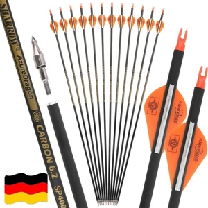12X 30 Zoll Carbonpfeile SP500 Jagdpfeile Vanes Bogenschießen RecurveBogen Jagd - Picture 1 of 17