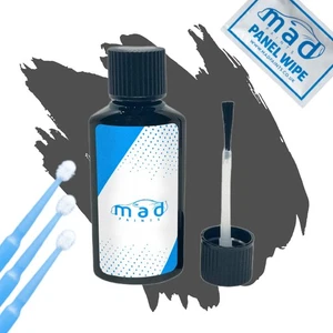 Ford Magnetic Grey Touch Up Kit 30ml Bottle Repair Paint Fiesta Focus Transit - Picture 1 of 4