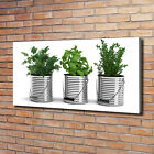 Leinwandbild Kunst-Druck 120x60 Bilder Essen Aromatische Pflanzen