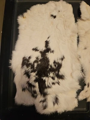 Genuine WHITE/BLACK/Streaked RABBIT SKIN FUR LEATHER PELT SOFT HIDE CRAFT GRADE  - Image 1 of 3
