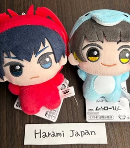Blue Lock Chibigurumi Tier Kigurumi Plüsch Puppe Yoichi Isagi Meguru Bachira Set - Bild 1 von 4