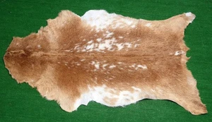New Goat hide Rug Hair on Area rug Size 36"x22" Animal Leather Goat Skin G-417 - Picture 1 of 3