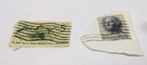 Estampilla de 5 centavos de George Washington 1962 y planta para una estampilla de América más hermosa - Imagen 1 de 3