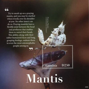 Gambia Insects Stamps 2020 MNH Praying Mantis Fauna 1v S/S - Picture 1 of 1