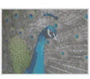 Cross Stitch Pattern PEACOCK PARADE New X Stitch Gwen Street Designs - Picture 1 of 4