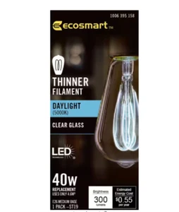 Ecosmart 40W LED Light Bulb ST19 Thinner Filament Daylight 5000K Clear Glass - Picture 1 of 8