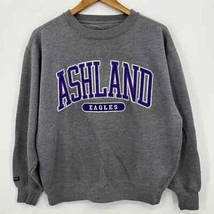 JanSport Sweatshirt Adult Size M Gray Ashland Eagles NCAA Long Sleeve Crew Neck - Picture 1 of 11