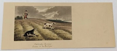 Gravure : CHASSE DE LA PERDRIX.  XIXe siècle. - Photo 1/2