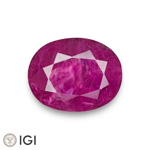 IGI Certified MOGOK BURMA Ruby 16.10 Ct. Natural Unheated LARGE Deep Magenta Red - Picture 1 of 13