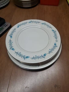 6 Theodore Haviland  CLINTON DINNER PLATES  10 1/4, 10 3/4" Euc+ Bin 138 - Picture 1 of 8