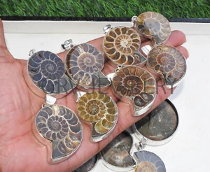 20pcs Ammonite Shell Gemstone Pendant Lot 925 Sterling Silver Plated Wh-137 - Picture 1 of 12