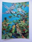 LENTICULAR 3D Japan TOPPAN vintage post card 77 PAPPAGALLI PARROTS pappagallo *