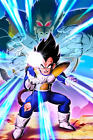 Dragon Ball Poster Vegeta and Oozaru Vegeta 12inx18in Free Shipping