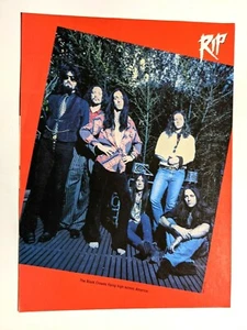 PÓSTER PINUP DE PÁGINA COMPLETA DE CROWES NEGROS / CHRIS & RICH ROBINSON / REVISTA DE BANDA - Imagen 1 de 1