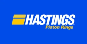 ANILLOS DE PISTÓN HASTINGS 6164-.040 Harley Davidson EVOLUTION EVO - Imagen 1 de 3