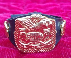 Mattel WWE World Belt Title Championship Figure Accessory WWF WCW ECW NXT Jakks - Picture 1 of 1