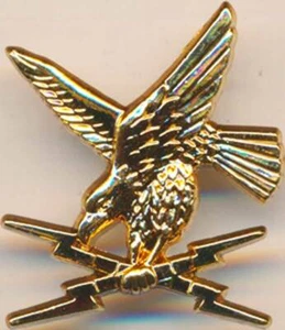 Brevet de Guerre Electronique, aigle, doré, attache PIN'S, Beraudy GS 182 (8582) - Picture 1 of 2