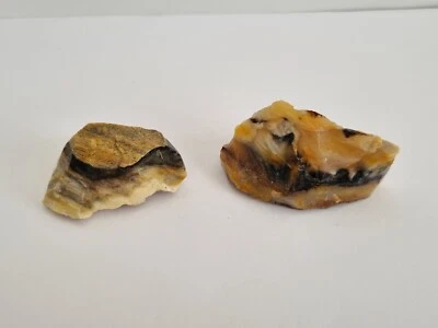 2 Pieces OPALIZIED PETRIFIED WOOD from USA - 70g - Fossil Wood - Image 1 of 4