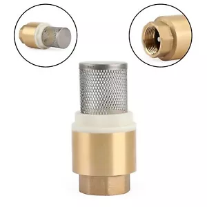 3/4" NPT Inline Check Foot Valve Brass Spring Loaded With Filter 200 PSI S8 - Picture 1 of 12