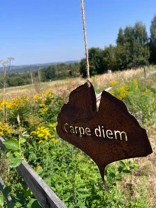 Rostige Stahl-Deko "Carpe Diem" Edelrost Garten Deko Rost 27 x 20 cm - Bild 1 von 2