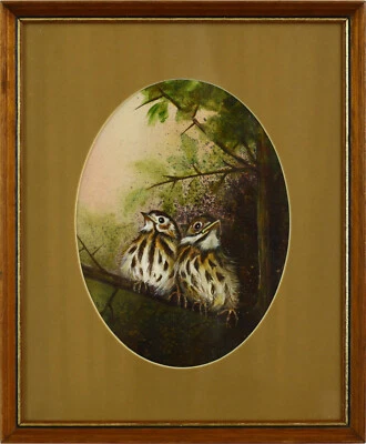 Pequena pintura a óleo por James J Allen. "Young Mistle Thrush" - Imagem 1 de 4