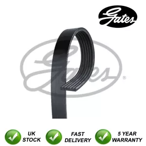Gates V-Ribbed Belts Fits Ford Focus (2004-2012) C-Max (2007-2010) #5953 - Picture 1 of 7