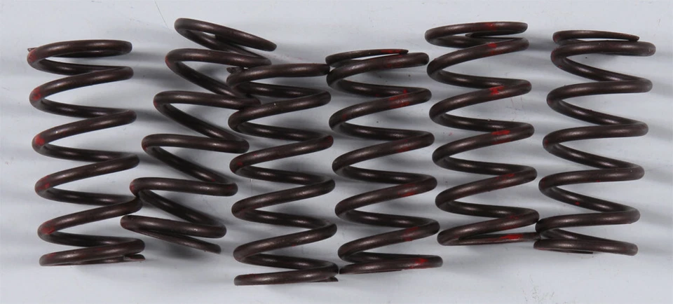 Juego de resortes de embrague de alto rendimiento KG Powersports KGS-802 Foto 1 de 1