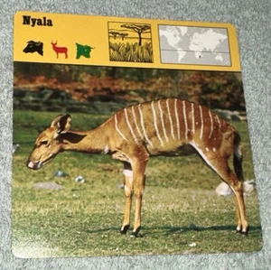 Vintage 1976 Animal Card - Nyala - Printed In Japan - Picture 1 of 4