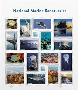 HOJA DE SELLOS DE SANTUARIOS MARINOS NACIONALES 2022~ Estampillas de EE. UU. #580504 EE. UU. COMO NUEVAS - Imagen 1 de 1