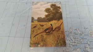 Pájaros Caza Postal 8410 - Imagen 1 de 2
