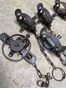 (10) SOLID Victor No. 1 1/2 Coil spring  Traps Skunk Raccoon Mink Trapping - Picture 1 of 2