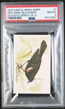1933 Church & Dwight Useful Birds America J9-3 Red Winged Black #7 PSA 8 NM-MT