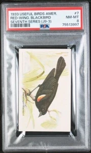 1933 Church & Dwight Useful Birds America J9-3 Red Winged Black #7 PSA 8 NM-MT - Picture 1 of 2