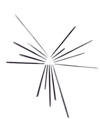 Six Organs of Admittance - MariaKapel [Used Very Good Vinyl LP] - Image 1 of 1