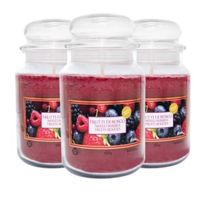 3 CANDELE PROFUMATE GIARA STILE YANKEE CANDLE 510gr IN VETRO - FRUTTI BOSCO - Foto 1 di 7