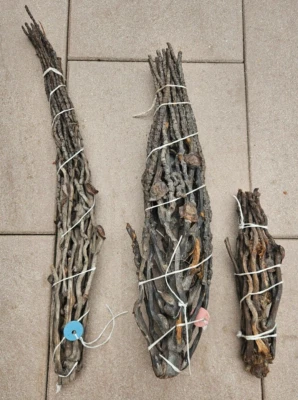 1x Kokosrispe L ca. 50-60cm Kokos Rispe Holz Fische Garnelen Terrarium Aquarium - Bild 1 von 3