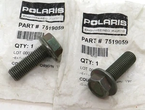 7519059 Polaris M10x1.25x30 Hex Flanged Bumper Screws (set of 2) for Brutus - Picture 1 of 1
