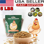5lbs Dried Mealworms for Chickens Organic Meal Worms Chicken Treats Duck Feed