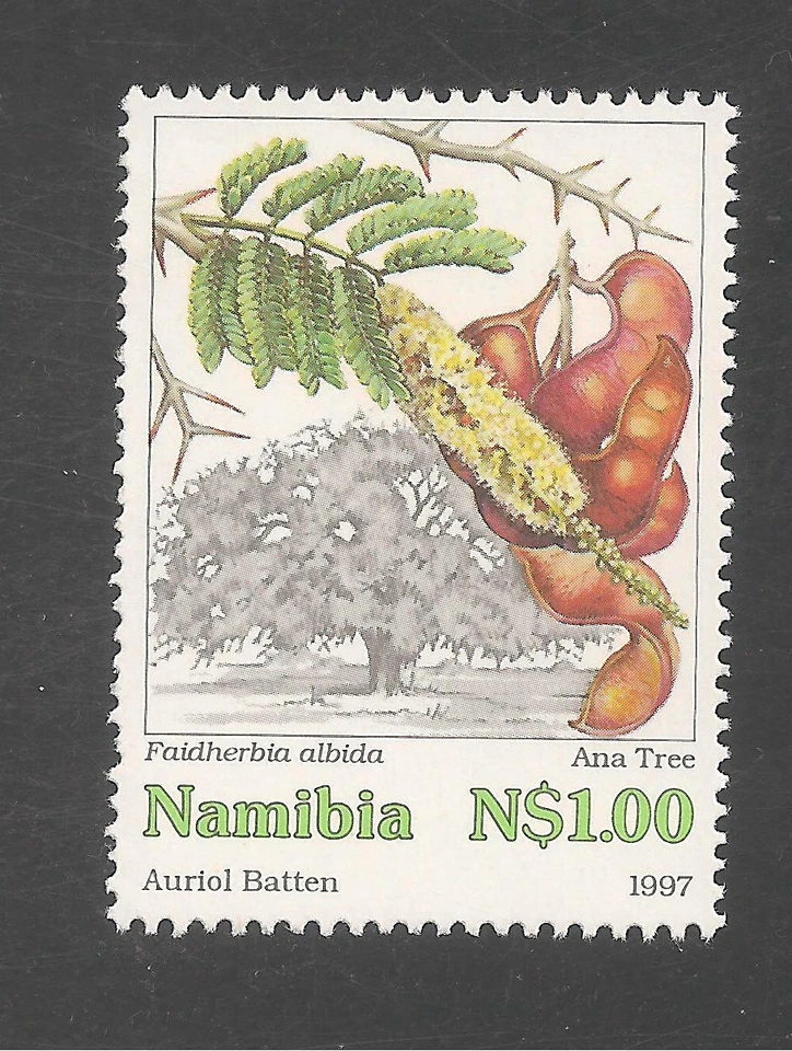 Nambia #850 (A188) VF MNH - 1997 $1 Ana Tree - Image 1 of 1