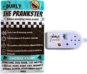 Hidden Noise Maker Gag Prank - 10 Different Sounds - Ringtone, Dog, Cat, Cricket - Picture 1 of 12
