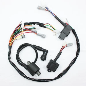 Arnés de cableado telar encendido unidad de control cdi bobina yamaha pw50 py50 moto de cross - Imagen 1 de 10