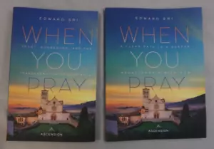 When You Pray by Edward Sri (Book & Workbook) Mint Condition Free Shipping - Picture 1 of 5