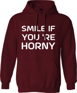 Smile If You are Horny Hoodie Funny Joke Pranks Single Person Novelty Gifts - Picture 1 of 16