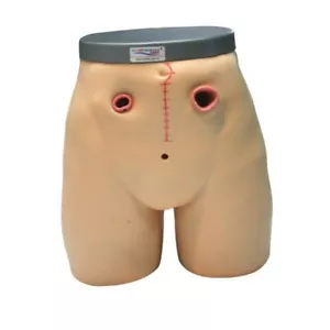 Modelo de entrenamiento de enfermería de ostomía KAS/38 - Imagen 1 de 1