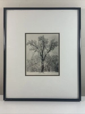 Ansel Adams OAK TREE SNOWSTORM 1948 YOSEMITE Black & White Framed Picture Print - Image 1 of 4