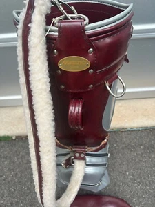 RARE! Vintage Mizuno Pro 3 Way Leather Golf Cart Bag w/rainhood VGC - Picture 1 of 7