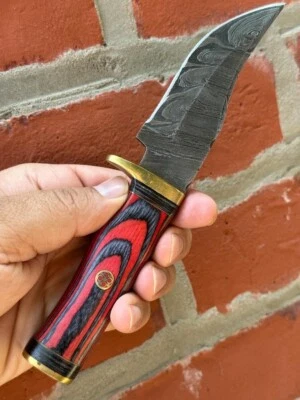 8” CUSTOM HANDMADE DAMASCUS HUNTING SKINNING KNIFE WOOD & BRASS GUARD HANDLE - Image 1 of 4